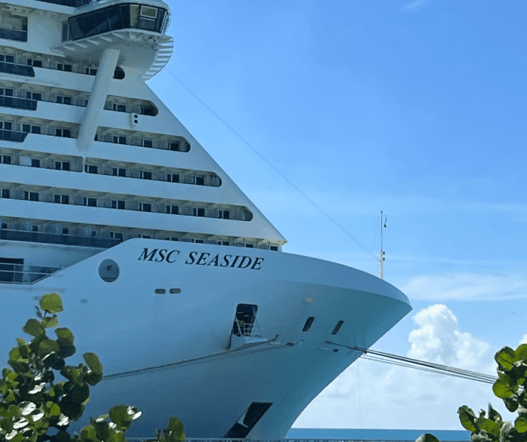 A Sustainable Cruise Vacation: Discover MSC Cruises’ Ocean Cay Marine Reserve 